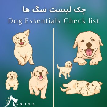 چک لیست سگ ها